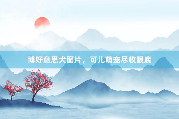 博好意思犬图片，可儿萌宠尽收眼底